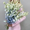 15 махровых голубых дельфиниумов